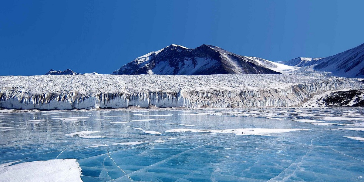 Подо льдами Антарктиды нашли новые организмы