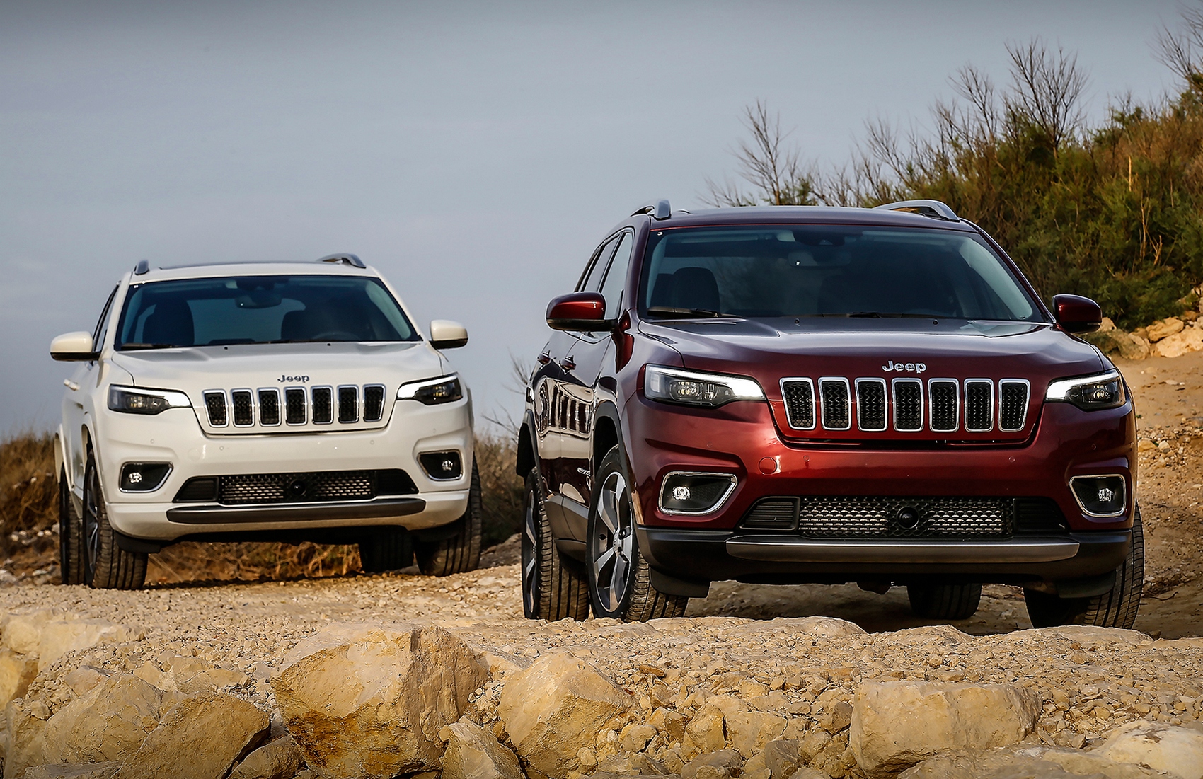 Jeep готов отказаться от названия Cherokee из-за критики со стороны индейцев