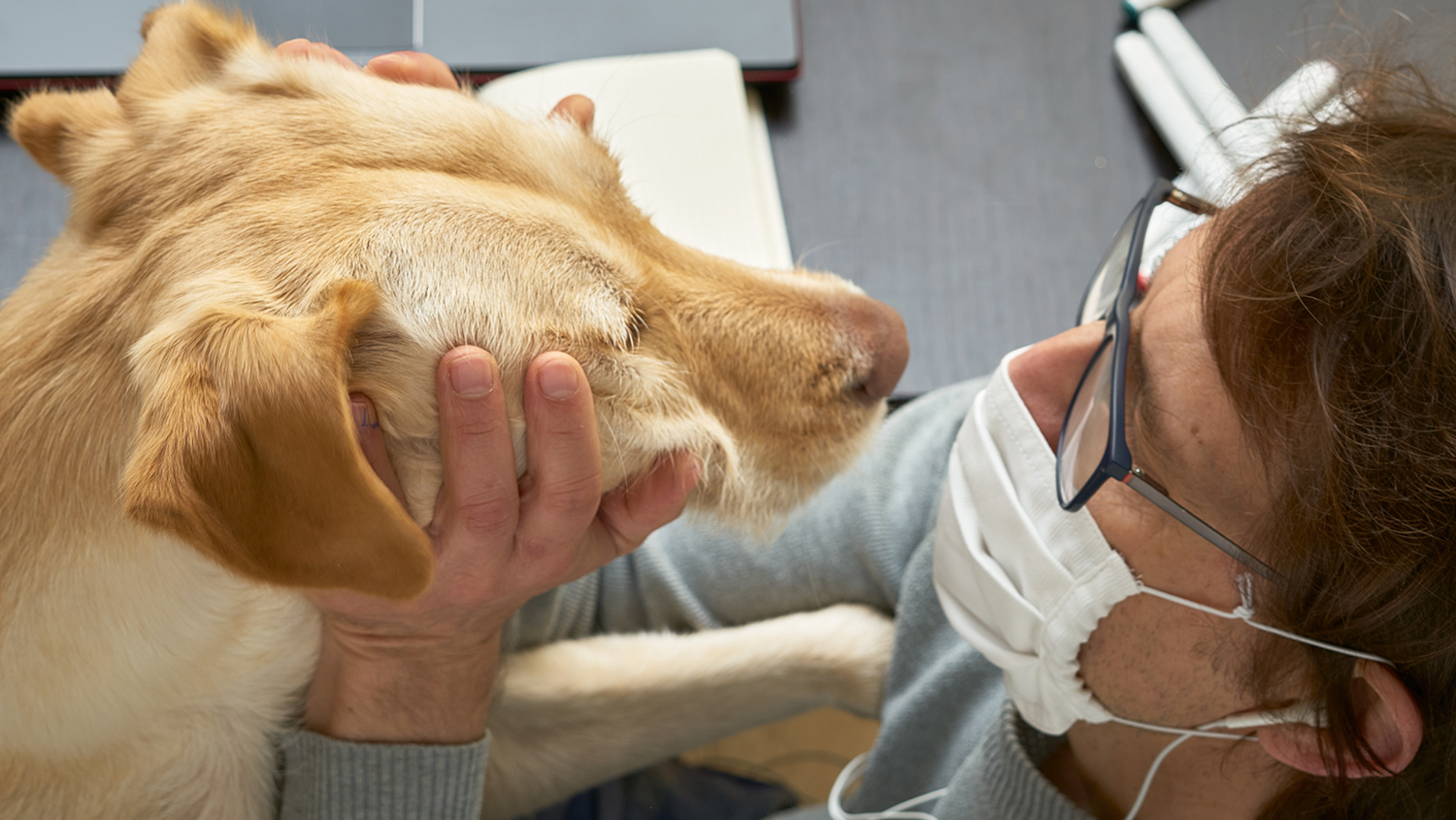 Ученые выявили новый коронавирус, которым собаки заражают человека — СМИ