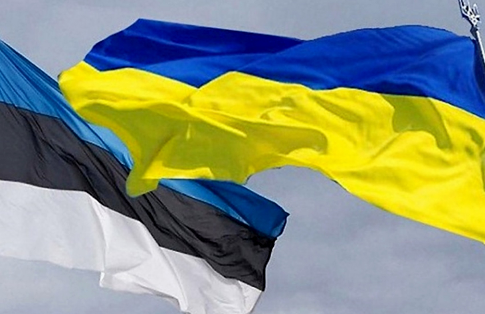 Эстония в течение 2021 года передаст Украине 1 миллион евро гуманитарной помощи