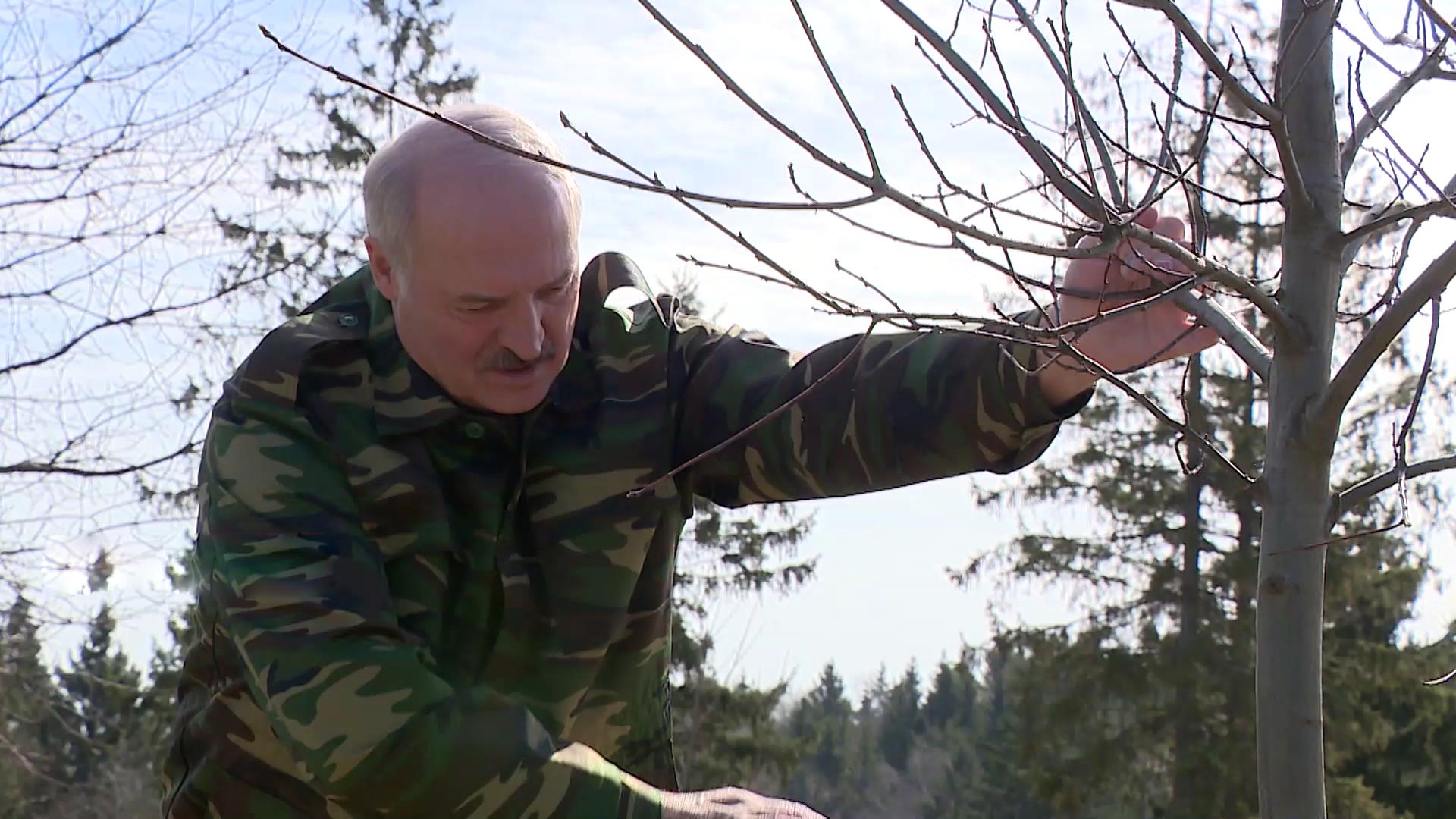 Лукашенко заявил, что готов возглавить Европейскую партию зелёных