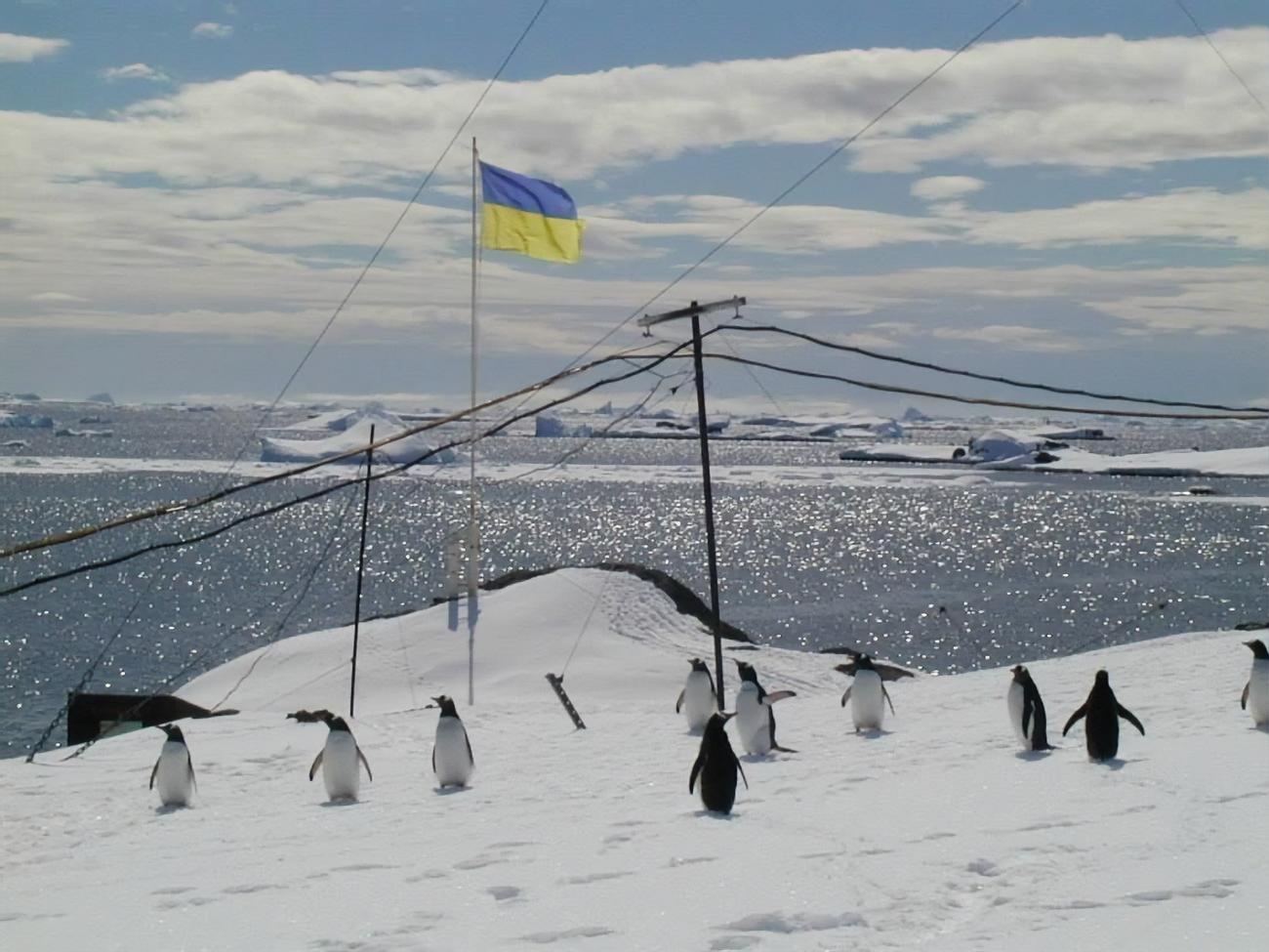 Кабмин выделил средства на ледокол для украинских антарктических экспедиций