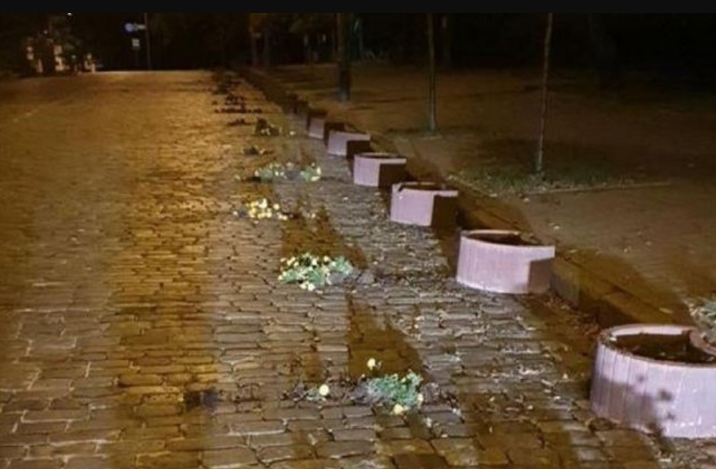 В Киеве на аллее Героев Небесной Сотни уроженец Донбасса устроил погром (фото)