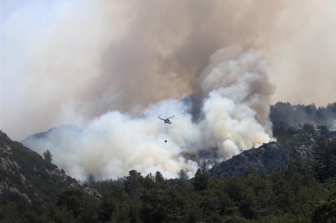 В Турции потушили все лесные пожары