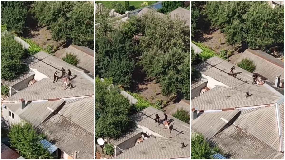 В Харькове мужчина с палкой на крыше дома подрался с полицейскими — отказывался ехать в больницу (видео)