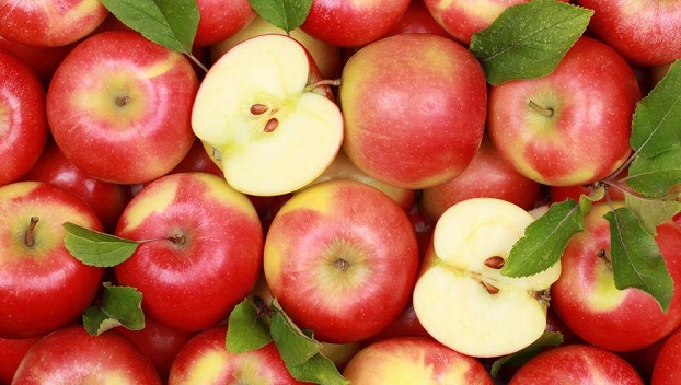 В Латвии собрали урожай яблок и выложили из них орнамент, который похож на свастику (фото)