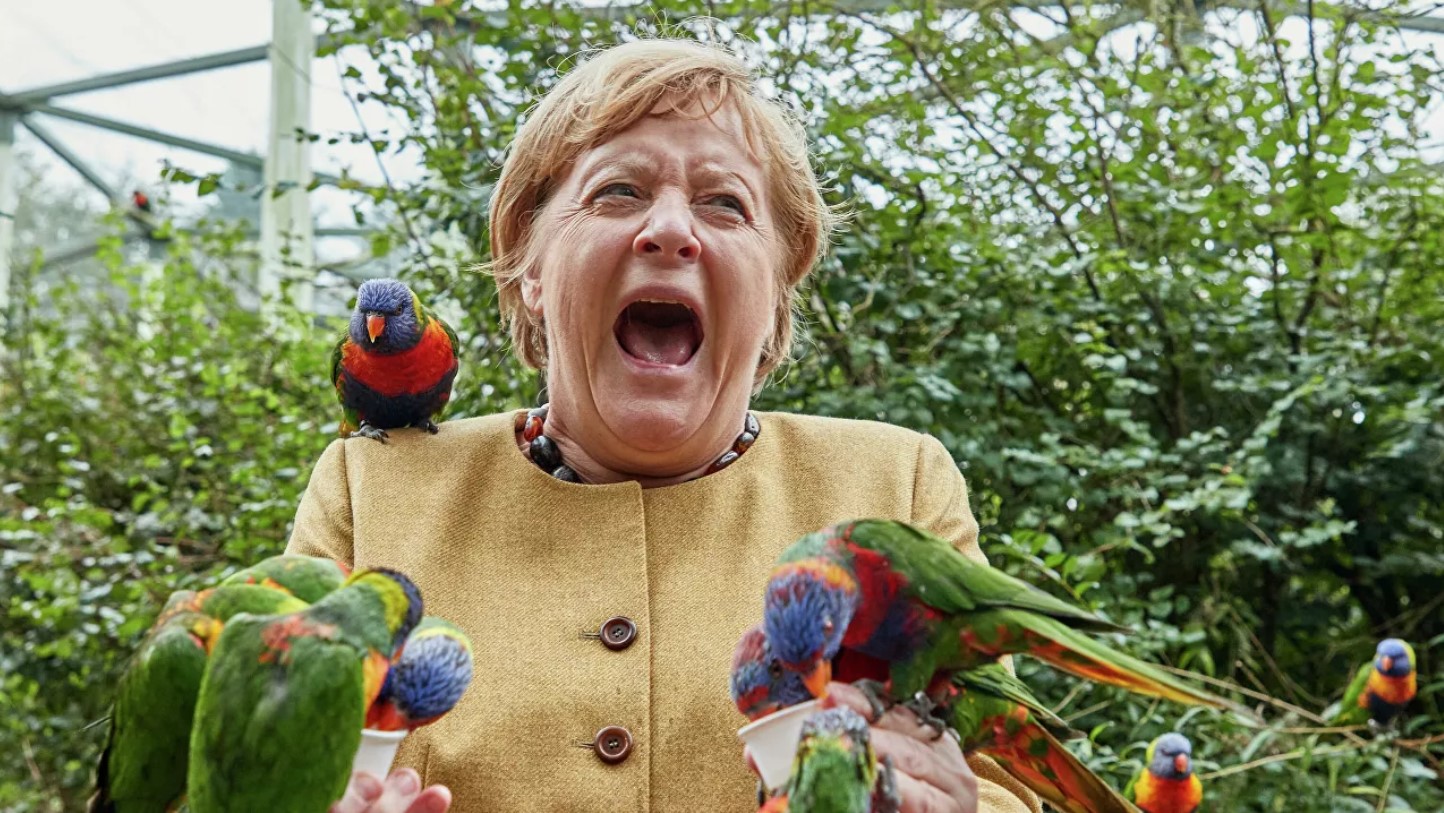 «Неплохо справилась». Меркель клюнул попугай в птичьем парке (фото)