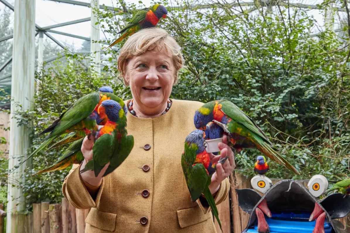 «Неплохо справилась». Меркель клюнул попугай в птичьем парке (фото) - 1 - изображение