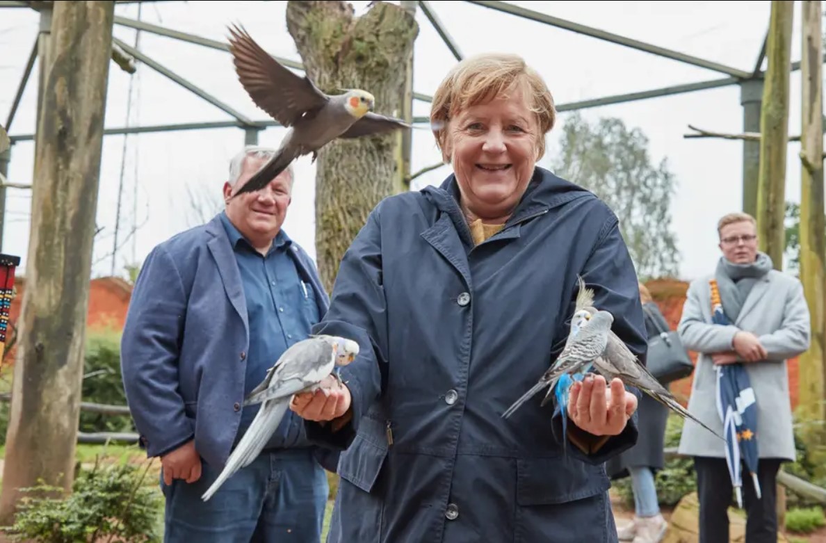 «Неплохо справилась». Меркель клюнул попугай в птичьем парке (фото) - 3 - изображение