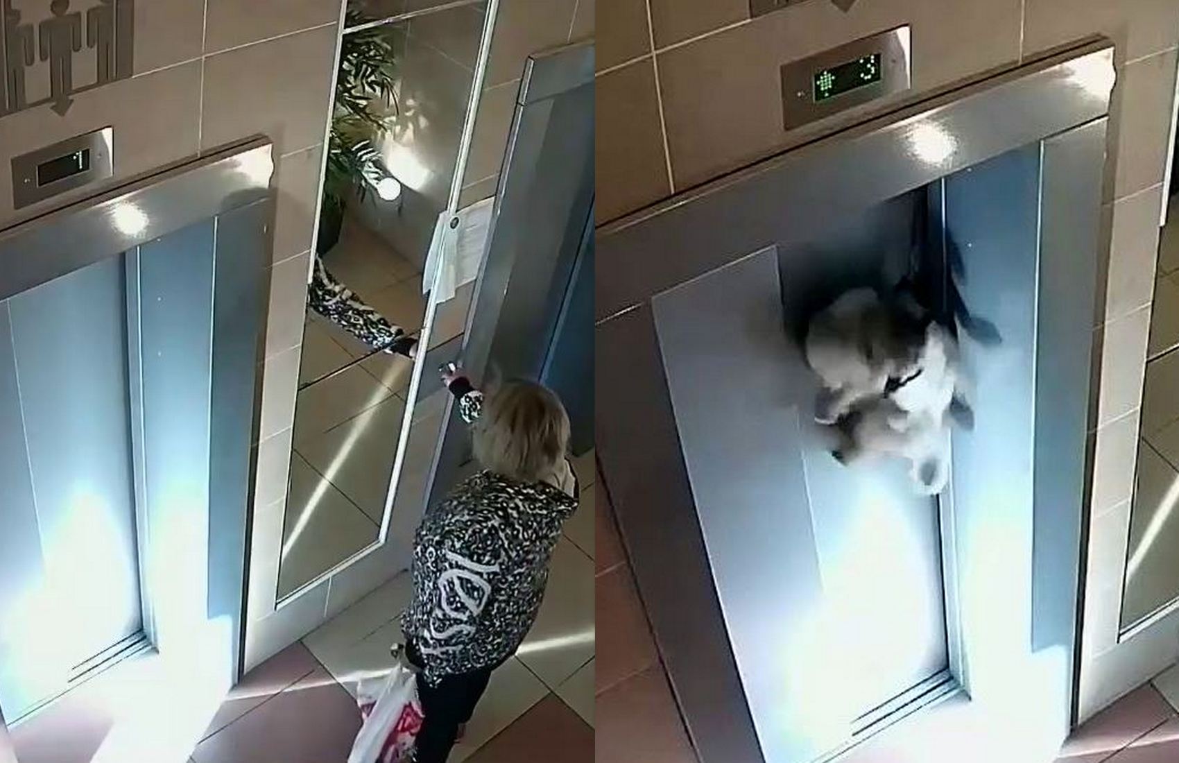 Хозяйка зашла в лифт и забыла собаку на поводке. Животное чудом спасли (видео)