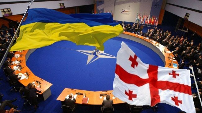 «У России нет права вето»: Столтенберг прокомментировал вопрос вступления Украины и Грузии в НАТО