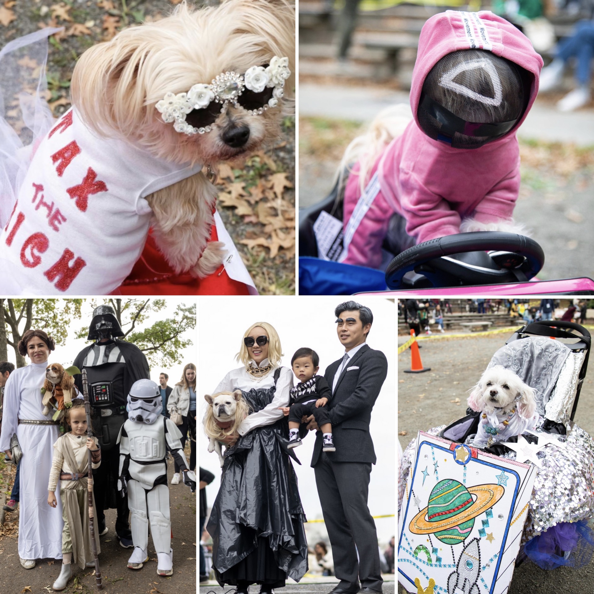 В Нью-Йорке состоялся ежегодный фестиваль хэллоуинских нарядов для собак (фото) - 4 - изображение