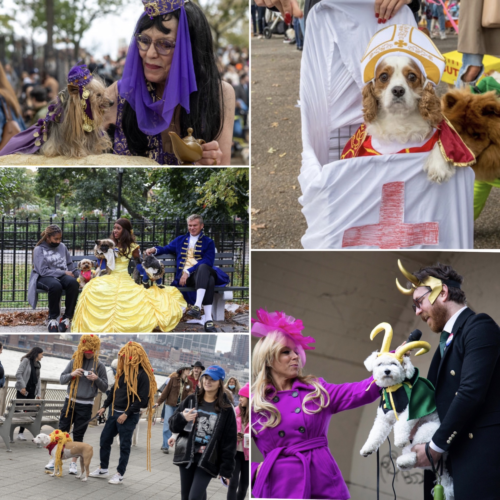 В Нью-Йорке состоялся ежегодный фестиваль хэллоуинских нарядов для собак (фото) - 1 - изображение