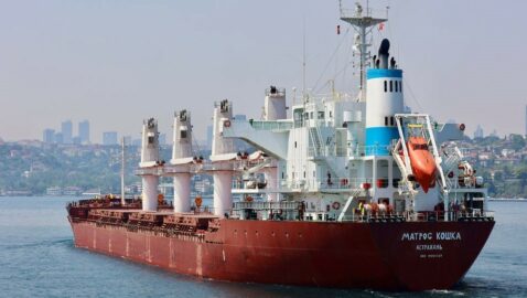 Киев потребовала от Анкары проверить три корабля РФ на наличие «украденного у Украины зерна»