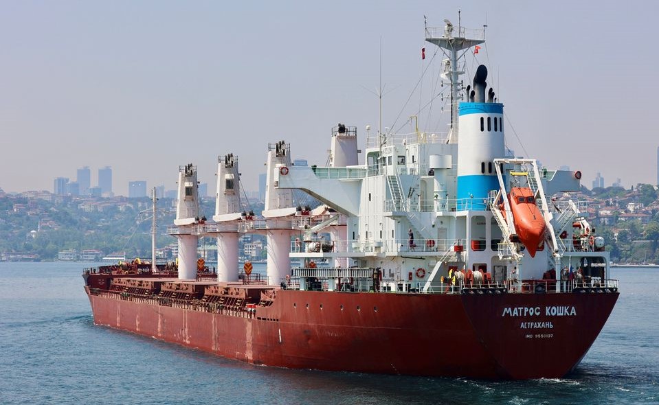 Киев потребовала от Анкары проверить три корабля РФ на наличие «украденного у Украины зерна»